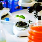 International A Level Biology Edexcel Online Course